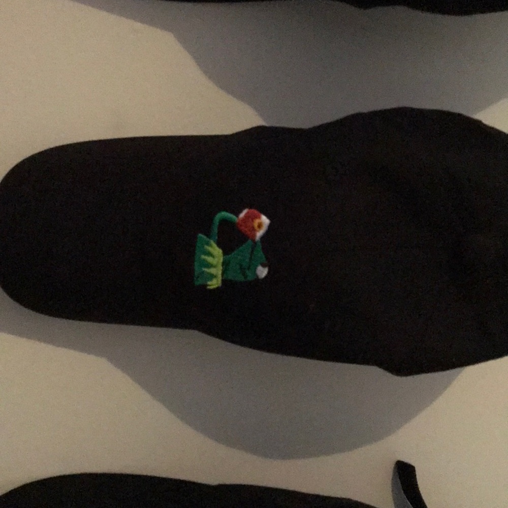 Kermit the frog sipping tea meme dad hat